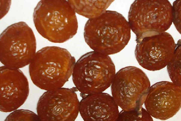 Noix de lavage pour lessives au naturel