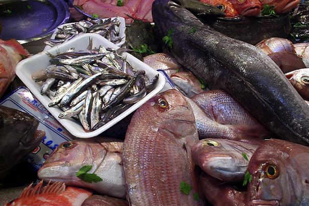 Baisse de la consommation de poissons en 2009