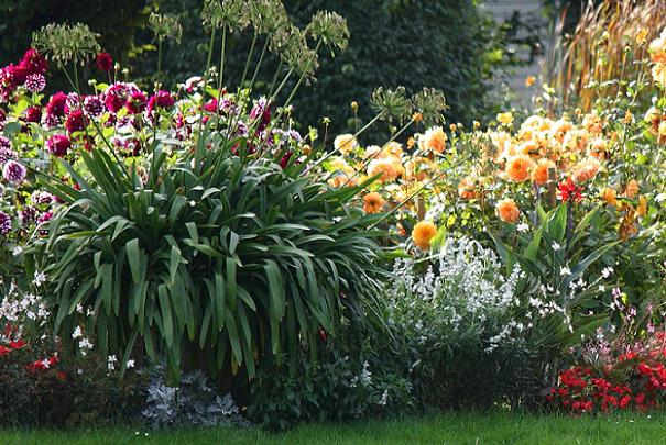 Fréquence de programmation de l’arrosage automatique du jardin