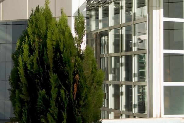 fusion_afss_afsset_janvier_2010