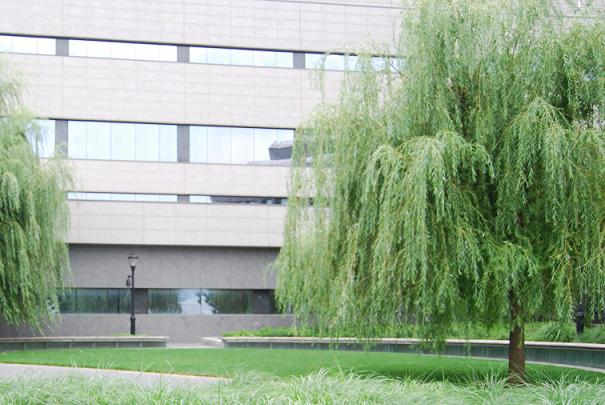 loi_finance_rectificative_bercy_2010