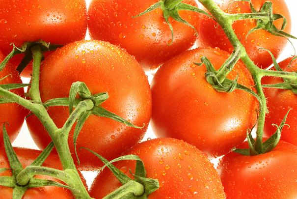 Group of Vine Tomatoes