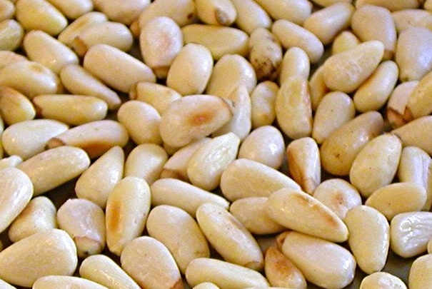 consommation_pignons_de_pins