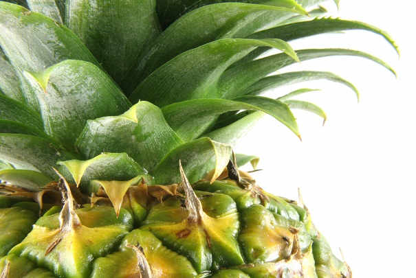 Pineapple Close-up