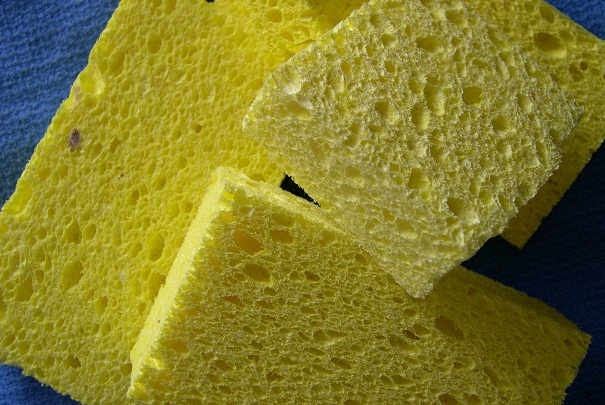 Débarrasser une éponge de ses bactéries