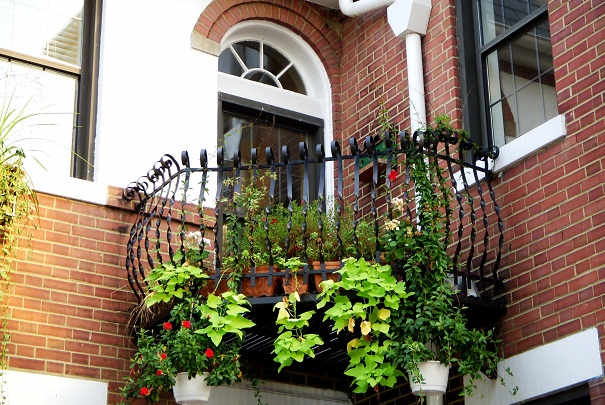 Fleurissement des balcons et terrasses