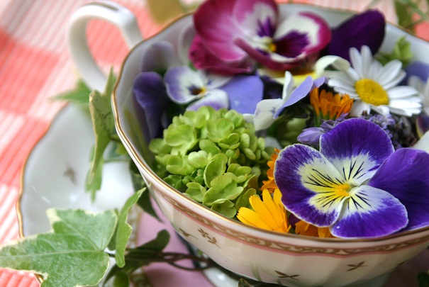 Salon des seniors du 24 au 26 mars 2011 à la Porte de Versailles