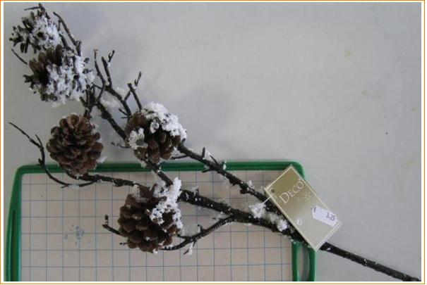 rappel_branches_decoratives_pomme_de_pin_deco rappel_branches_decoratives_pomme_de_pin_deco