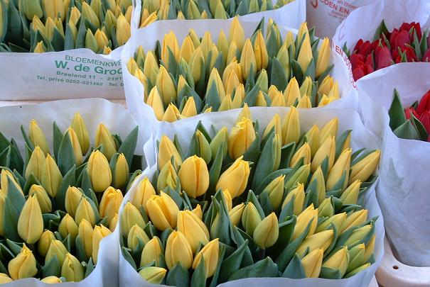 temps_consacres_shopping_france_monde_ocde