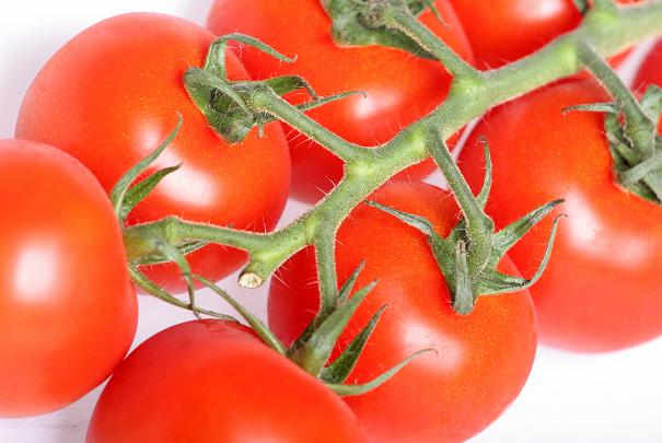 distribution_gratuite_concombres_tomates