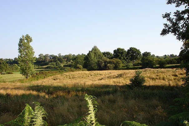 calcul droits de mutation