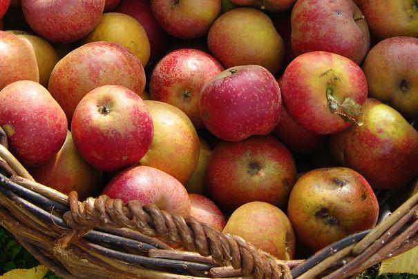 indicateur_moral_consommateurs_novembre_2011