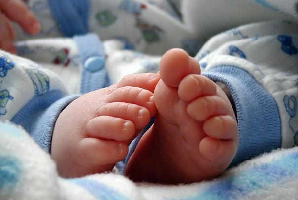 entree_gratuite_salon_bebe_nature_paris_2012 MenagereMag.com