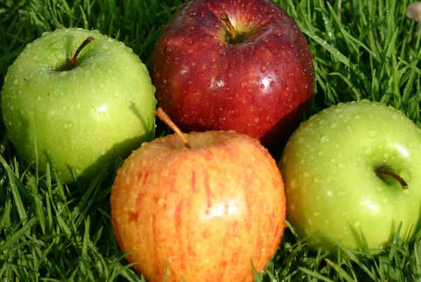 Spécificités des différentes variétés de pommes